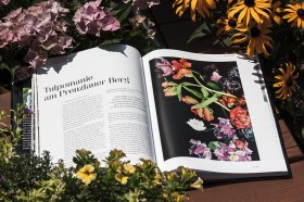 Tulpen-Scans im Buch "Blumenmalerinnen"